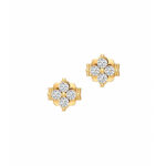 18K Gold Shining Bloom Earrings